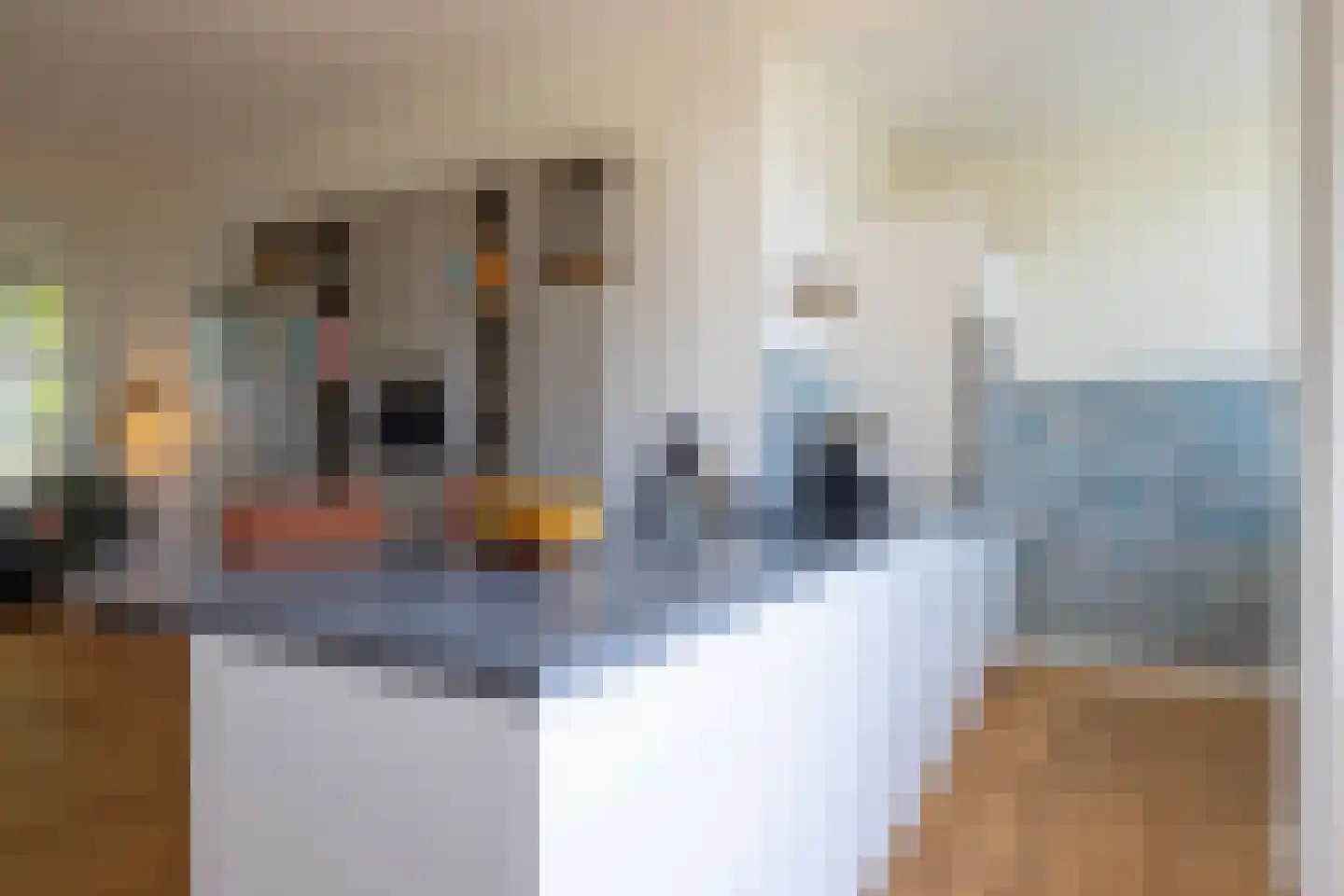 Prins Bernhardkade 37 A Rotterdam thumbnail 12