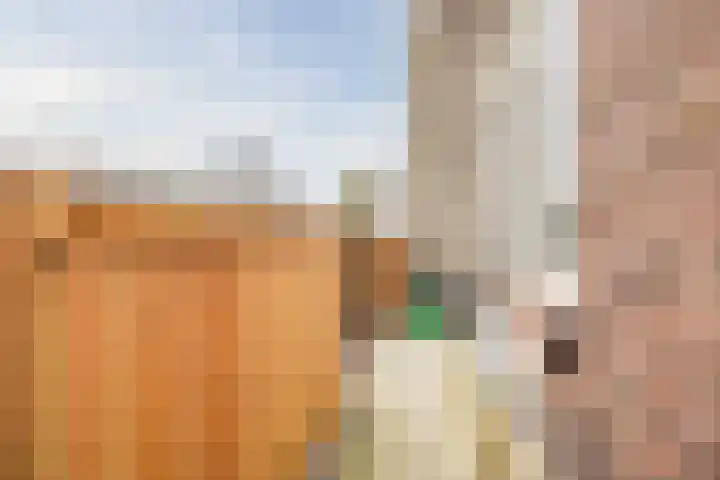 Prins Bernhardkade 38 B Rotterdam thumbnail 26