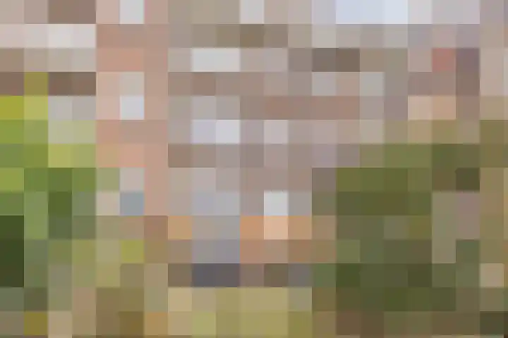 Prins Bernhardkade 38 B Rotterdam thumbnail 31