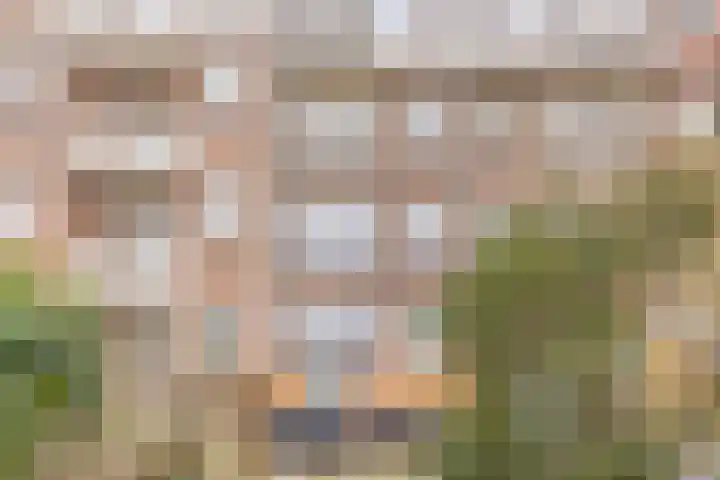 Prins Bernhardkade 38 B Rotterdam thumbnail 32
