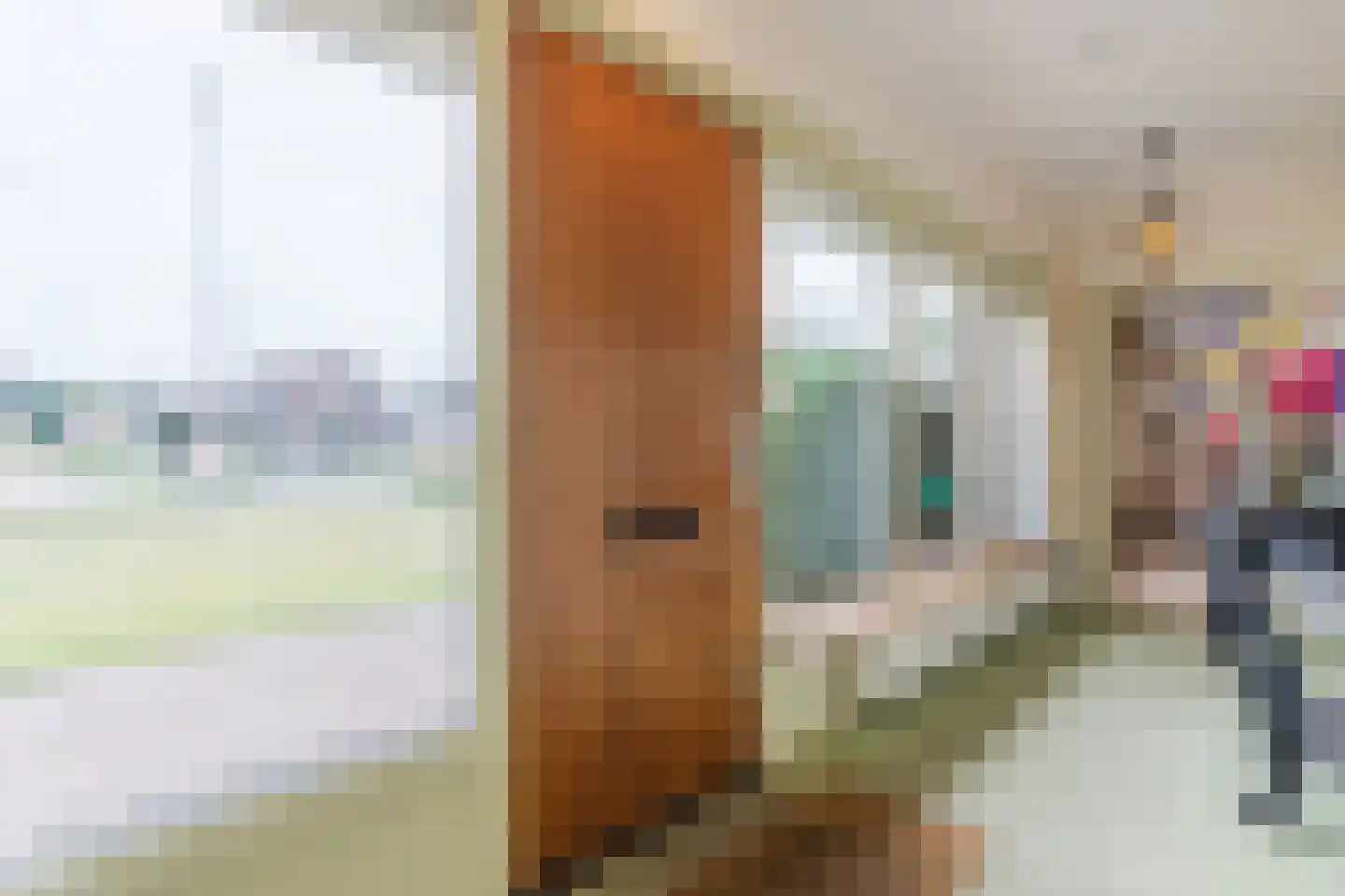 Prins Bernhardlaan 1 a Heerde thumbnail 20