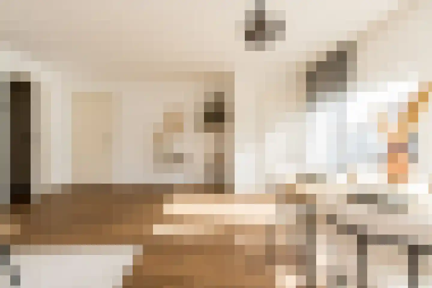 Prins Bernhardlaan 1 B Nieuwendijk thumbnail 20