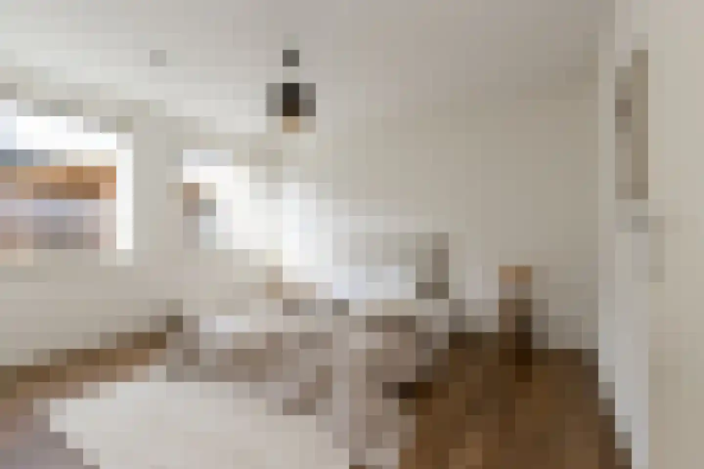 Prins Bernhardlaan 1 B Nieuwendijk thumbnail 36