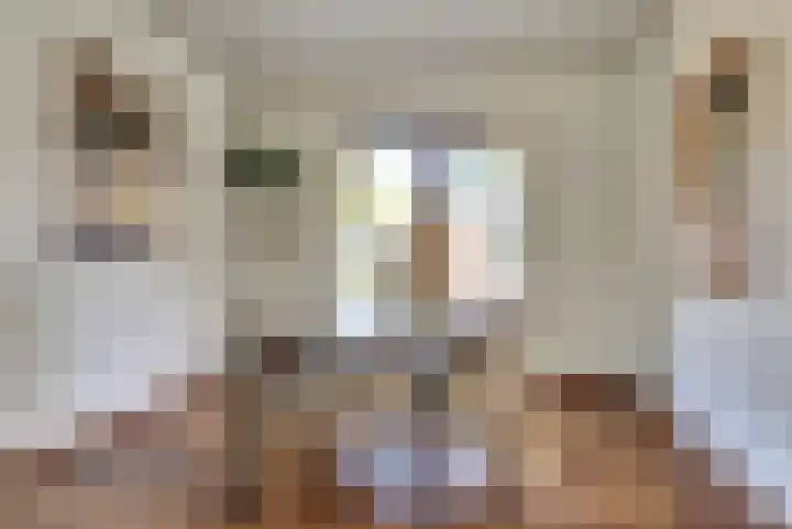 Prins Bernhardlaan 1 Dieren thumbnail 10