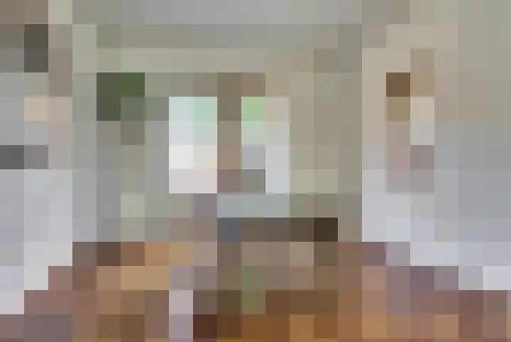 Prins Bernhardlaan 1 Dieren thumbnail 11