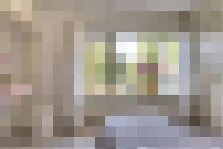 Prins Bernhardlaan 1 Dieren thumbnail 18