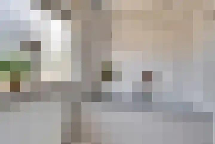 Prins Bernhardlaan 1 Dieren thumbnail 22