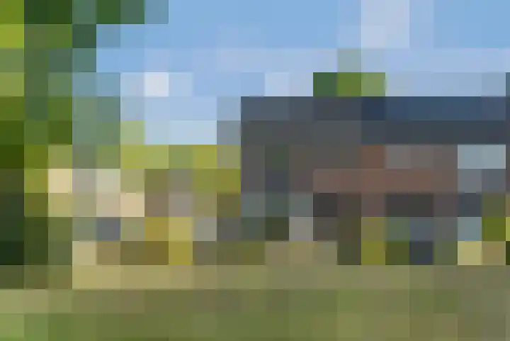 Prins Bernhardlaan 1 Dieren foto 3