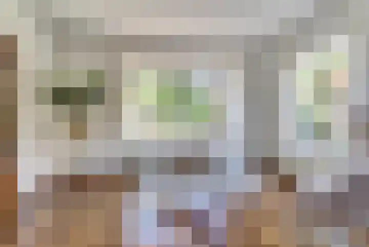 Prins Bernhardlaan 1 Dieren thumbnail 9