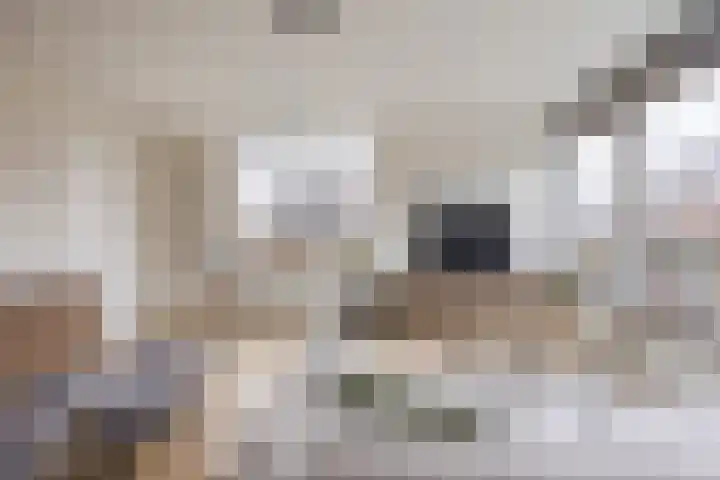 Prins Bernhardlaan 1 Katwijk thumbnail 13