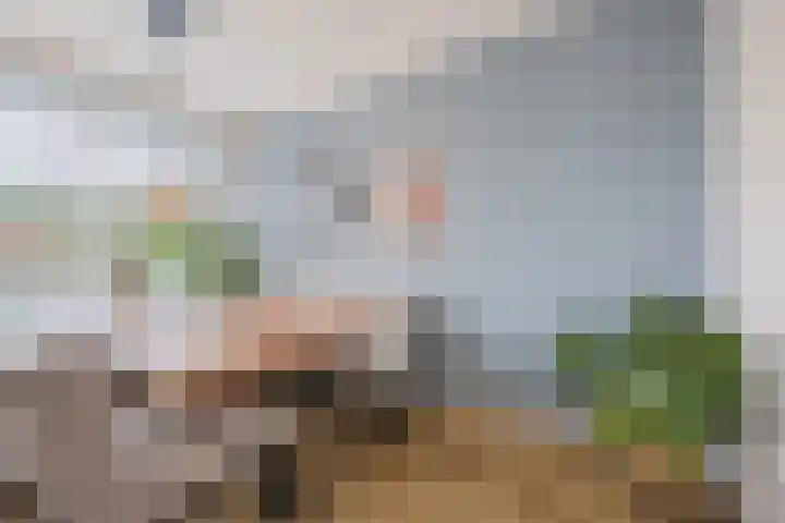 Prins Bernhardlaan 1 Katwijk thumbnail 19