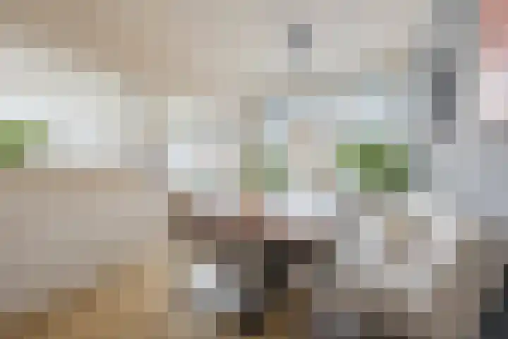 Prins Bernhardlaan 1 Katwijk thumbnail 20