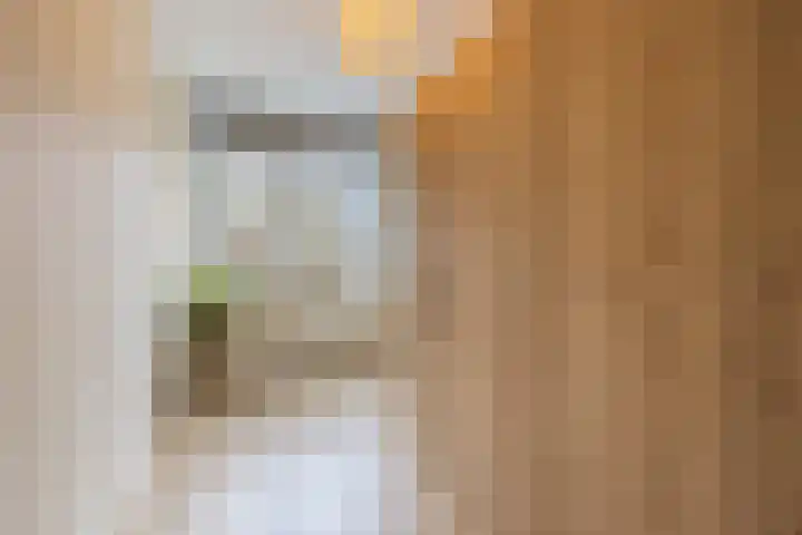 Prins Bernhardlaan 1 Katwijk thumbnail 30