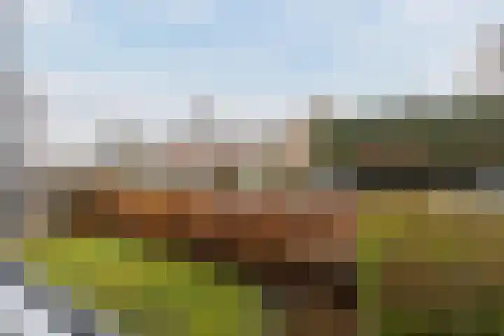 Prins Bernhardlaan 1 Katwijk thumbnail 41