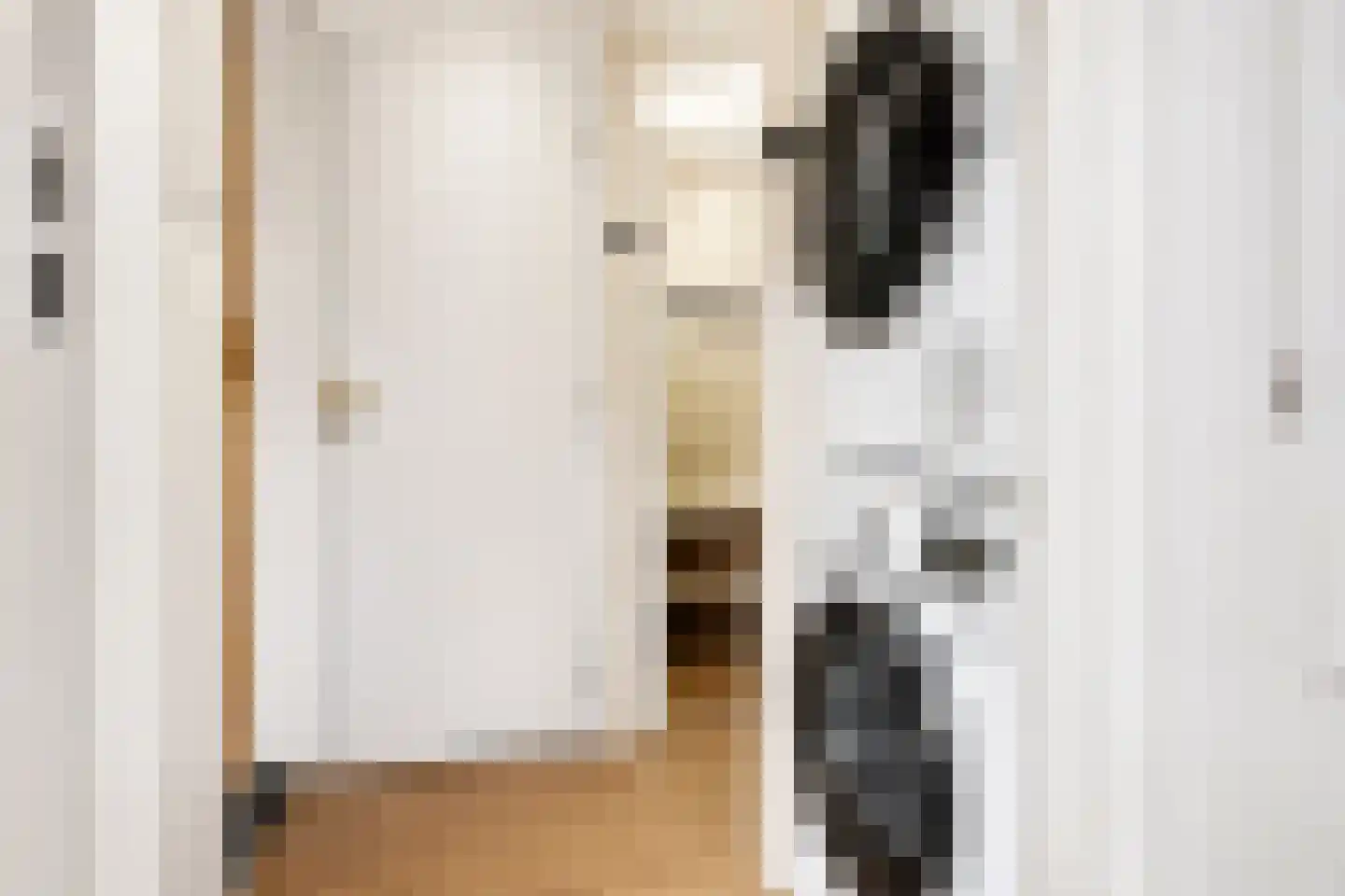 Prins Bernhardlaan 1 Leidschendam thumbnail 34