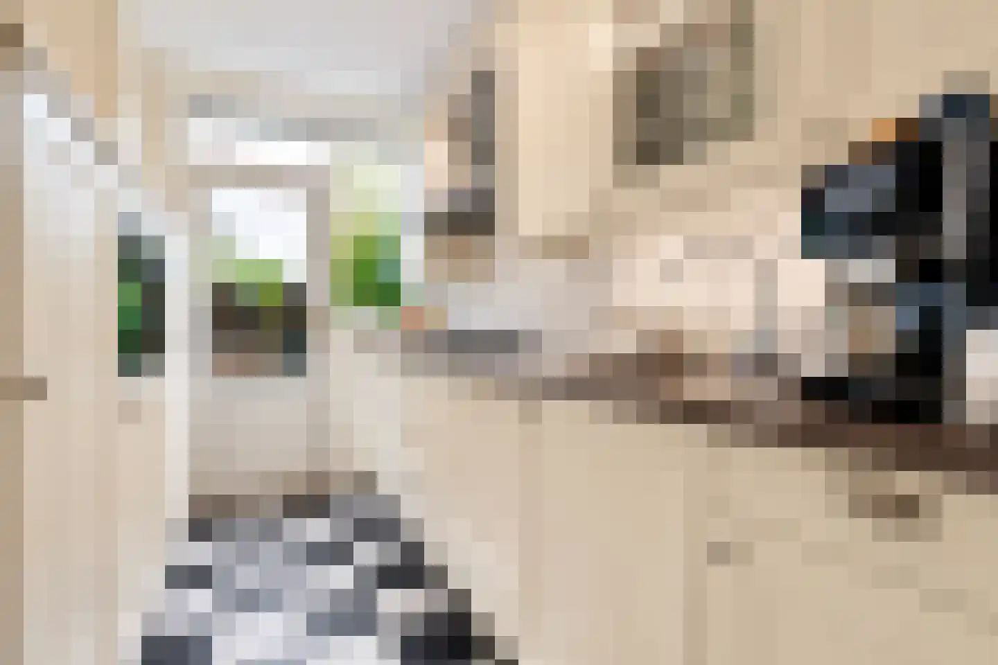 Prins Bernhardlaan 1 Leidschendam thumbnail 7