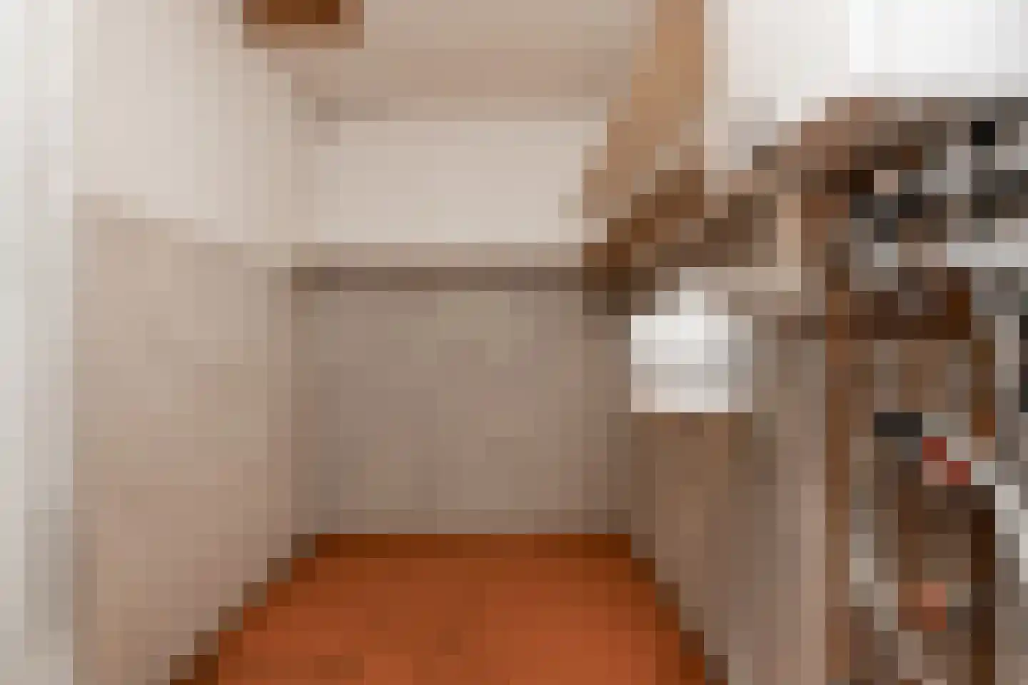 Prins Bernhardlaan 1 Nieuwendijk thumbnail 25