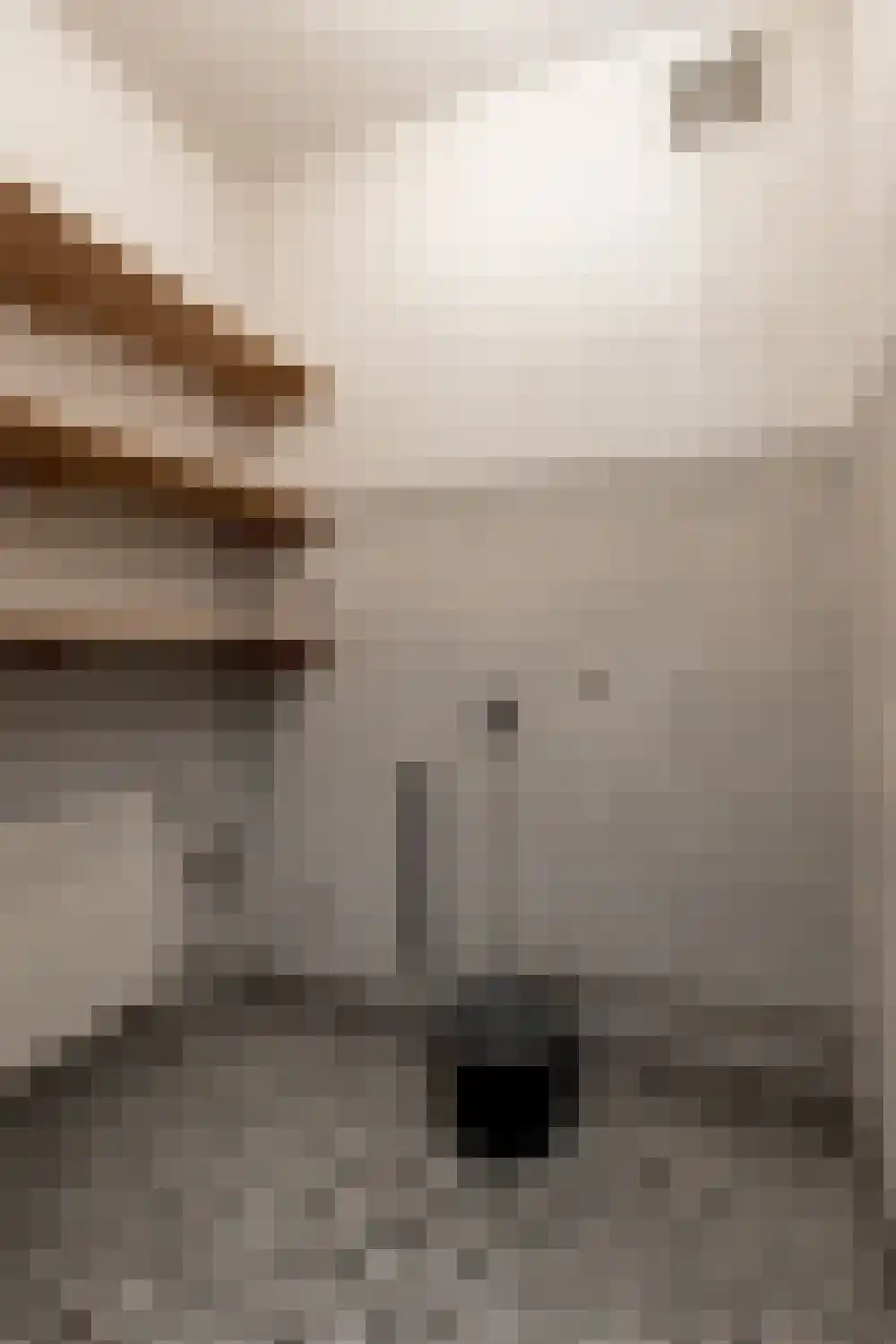 Prins Bernhardlaan 1 Nieuwendijk thumbnail 26