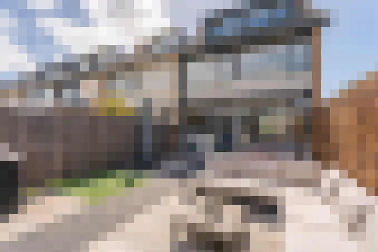 Prins Bernhardlaan 1 Rijnsburg thumbnail 29