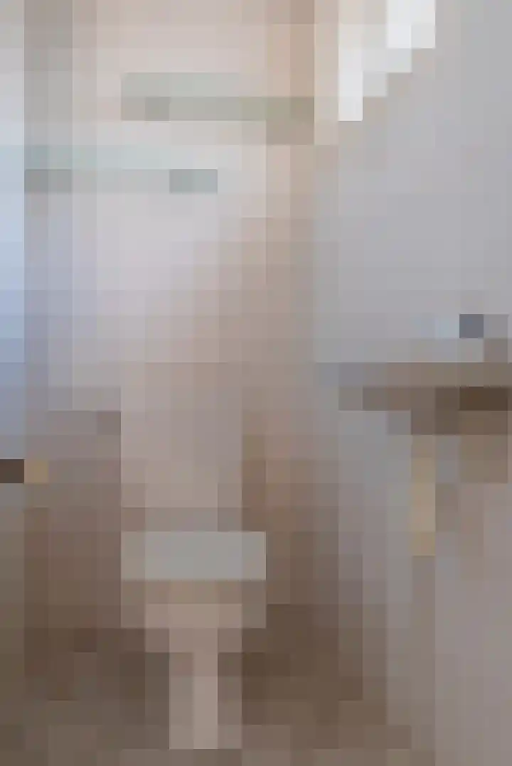 Prins Bernhardlaan 1 Veenendaal thumbnail 20