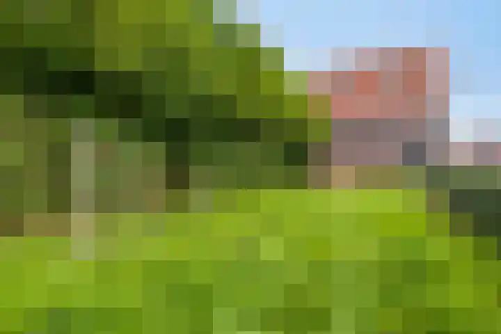 Prins Bernhardlaan 1 Volendam thumbnail 36
