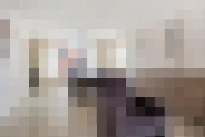 Prins Bernhardlaan 1 Volendam thumbnail 4