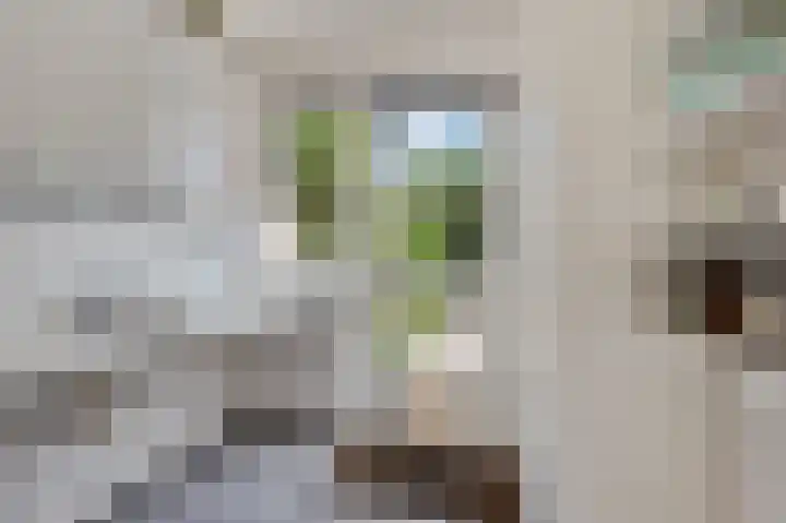 Prins Bernhardlaan 10 Akersloot thumbnail 19