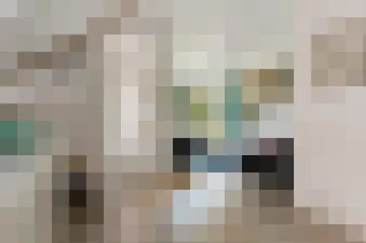 Prins Bernhardlaan 10 Akersloot thumbnail 21