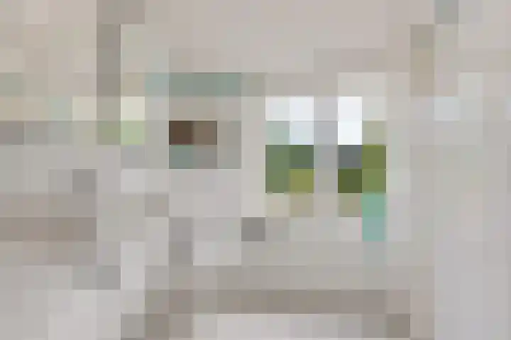 Prins Bernhardlaan 10 Akersloot thumbnail 25