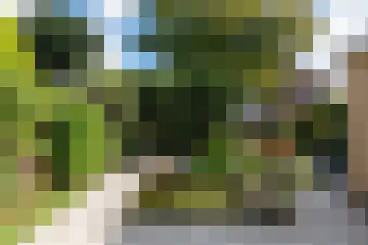 Prins Bernhardlaan 10 Akersloot thumbnail 35