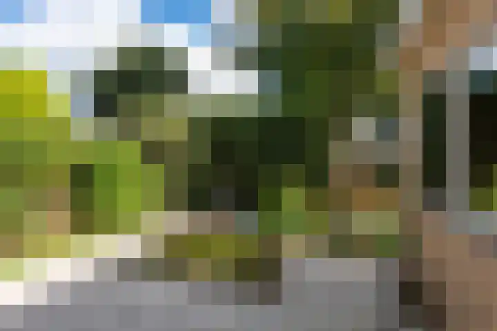 Prins Bernhardlaan 10 Akersloot thumbnail 36