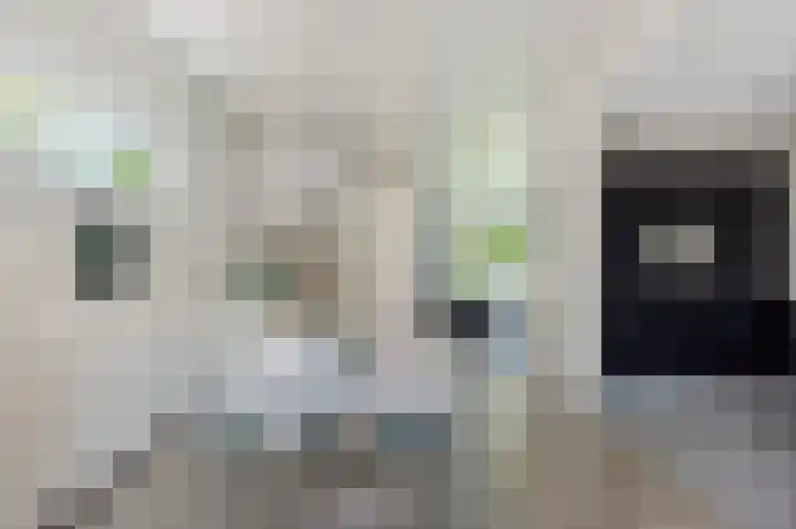 Prins Bernhardlaan 10 Akersloot thumbnail 4