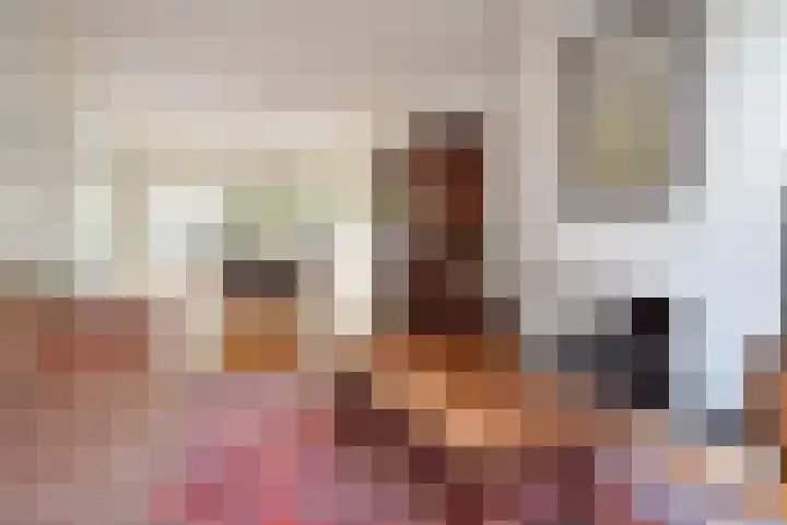 Prins Bernhardlaan 10 Voorschoten thumbnail 11