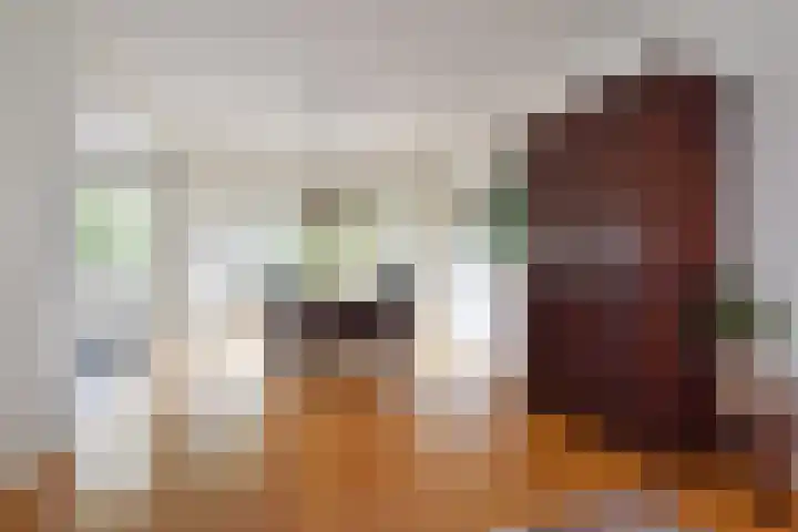 Prins Bernhardlaan 10 Voorschoten thumbnail 12