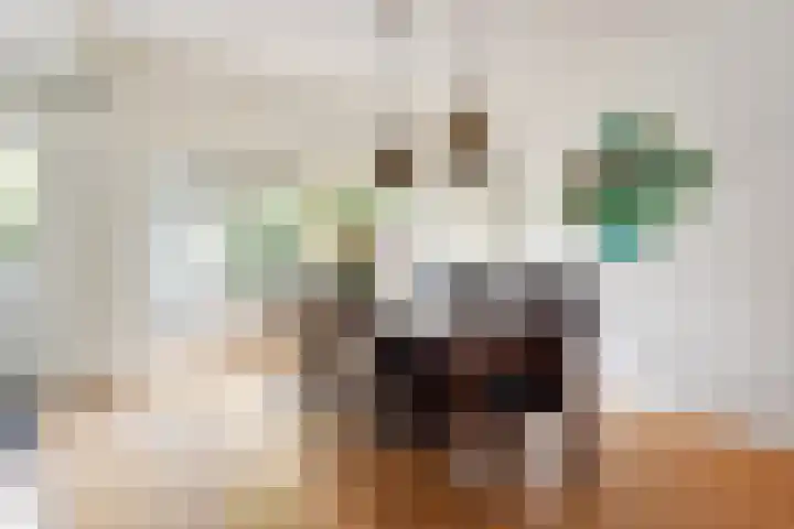 Prins Bernhardlaan 10 Voorschoten thumbnail 13