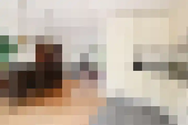 Prins Bernhardlaan 10 Voorschoten thumbnail 17