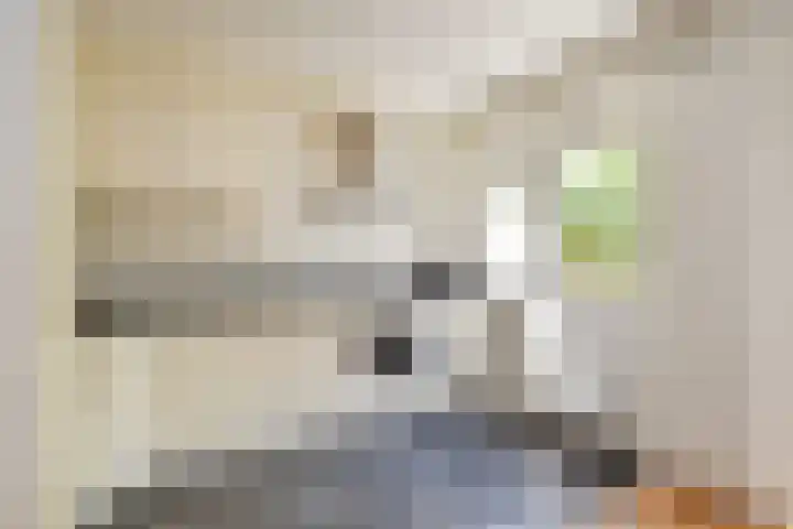Prins Bernhardlaan 10 Voorschoten thumbnail 18