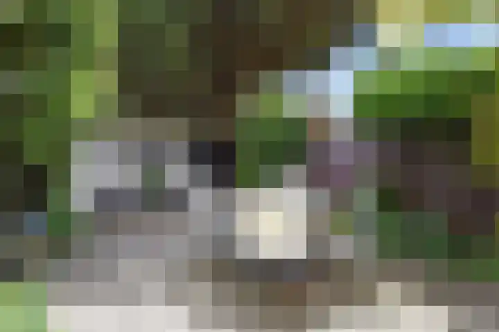 Prins Bernhardlaan 10 Voorschoten thumbnail 19