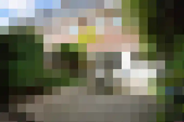 Prins Bernhardlaan 10 Voorschoten thumbnail 25