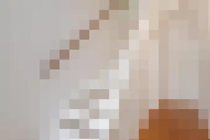 Prins Bernhardlaan 10 Voorschoten thumbnail 27