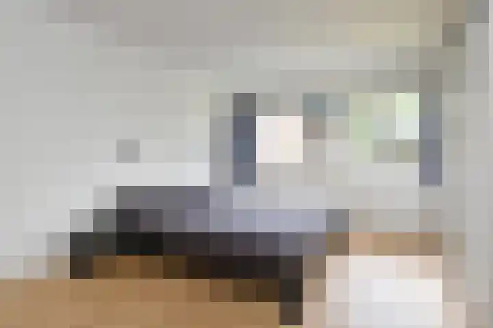 Prins Bernhardlaan 10 Voorschoten thumbnail 33