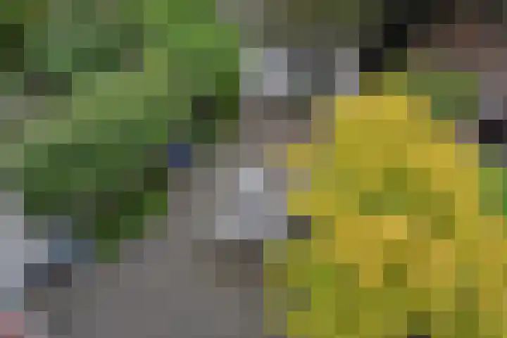 Prins Bernhardlaan 10 Voorschoten thumbnail 34