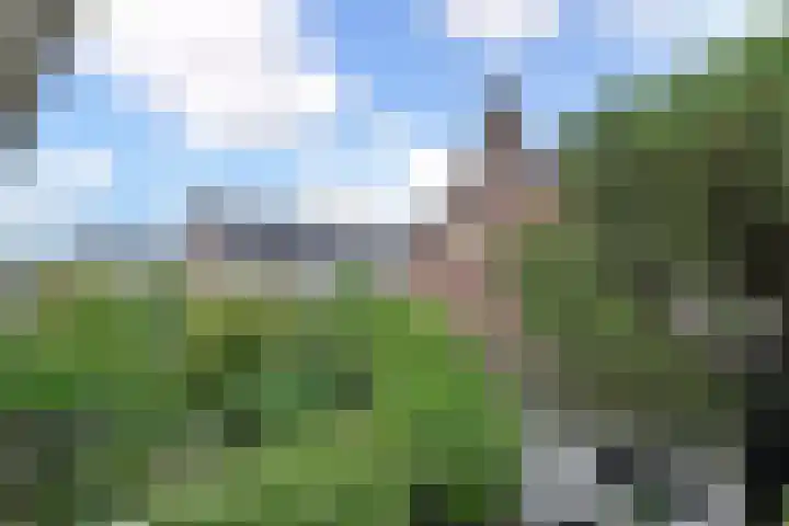 Prins Bernhardlaan 10 Voorschoten thumbnail 35