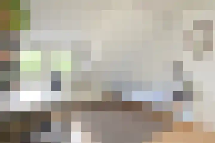 Prins Bernhardlaan 10 Voorschoten thumbnail 42