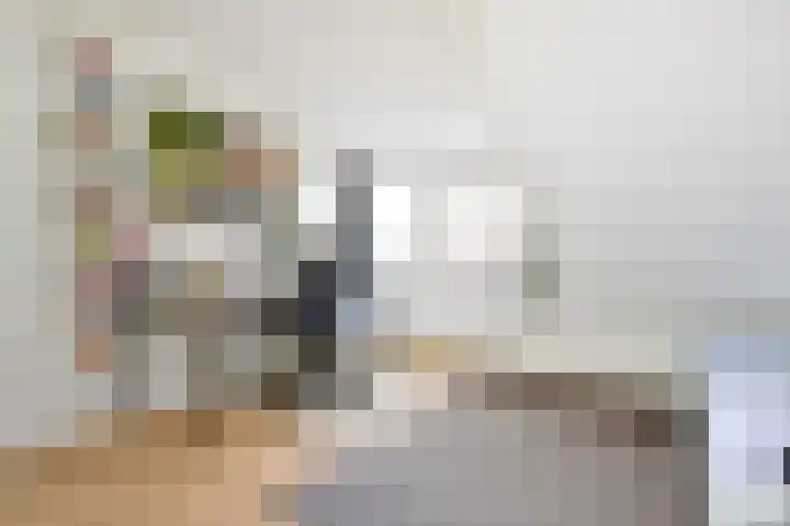 Prins Bernhardlaan 10 Voorschoten thumbnail 43