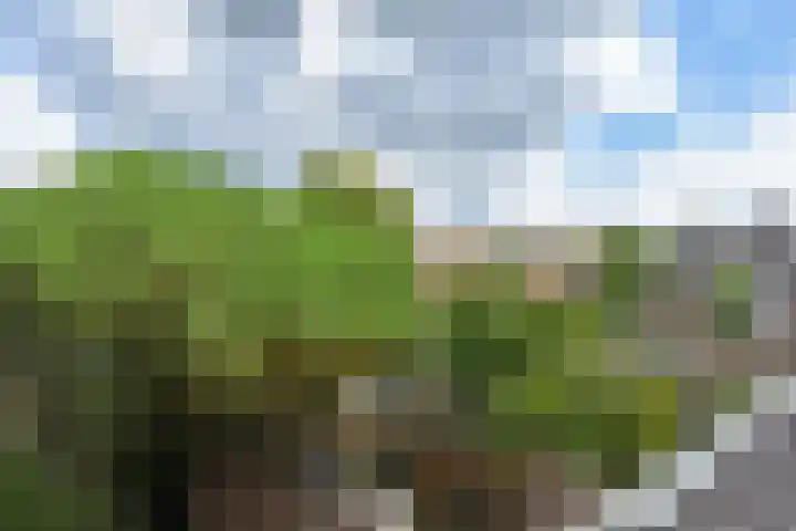 Prins Bernhardlaan 10 Voorschoten thumbnail 45