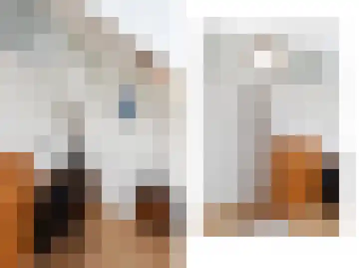 Prins Bernhardlaan 10 Voorschoten thumbnail 50
