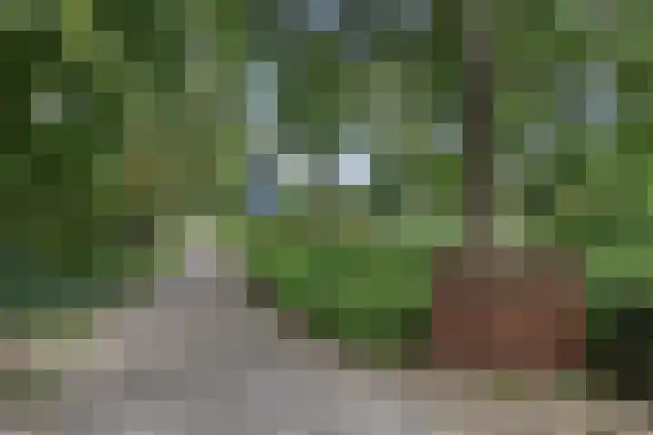 Prins Bernhardlaan 10 Voorschoten thumbnail 59