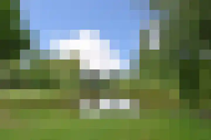 Prins Bernhardlaan 10 Voorschoten thumbnail 60