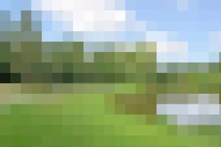 Prins Bernhardlaan 10 Voorschoten thumbnail 61